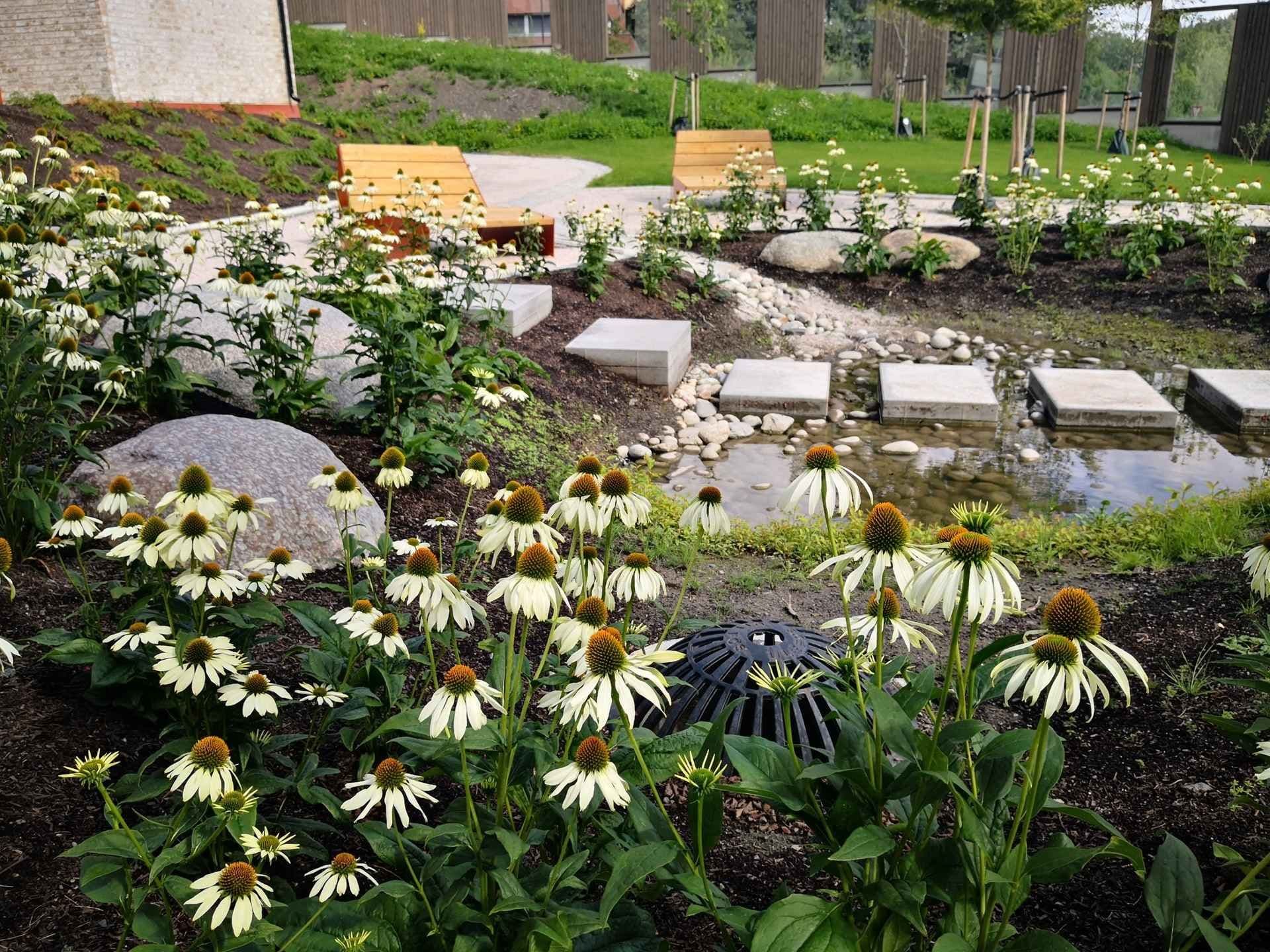 Foto av hvite solhatter, heller og vann. 