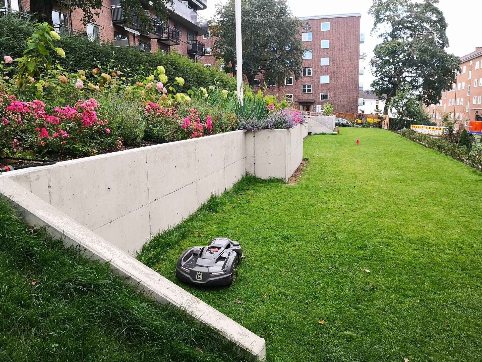 Plen og blomsterbed utenfor boligblokk i Oslo. Foto. 