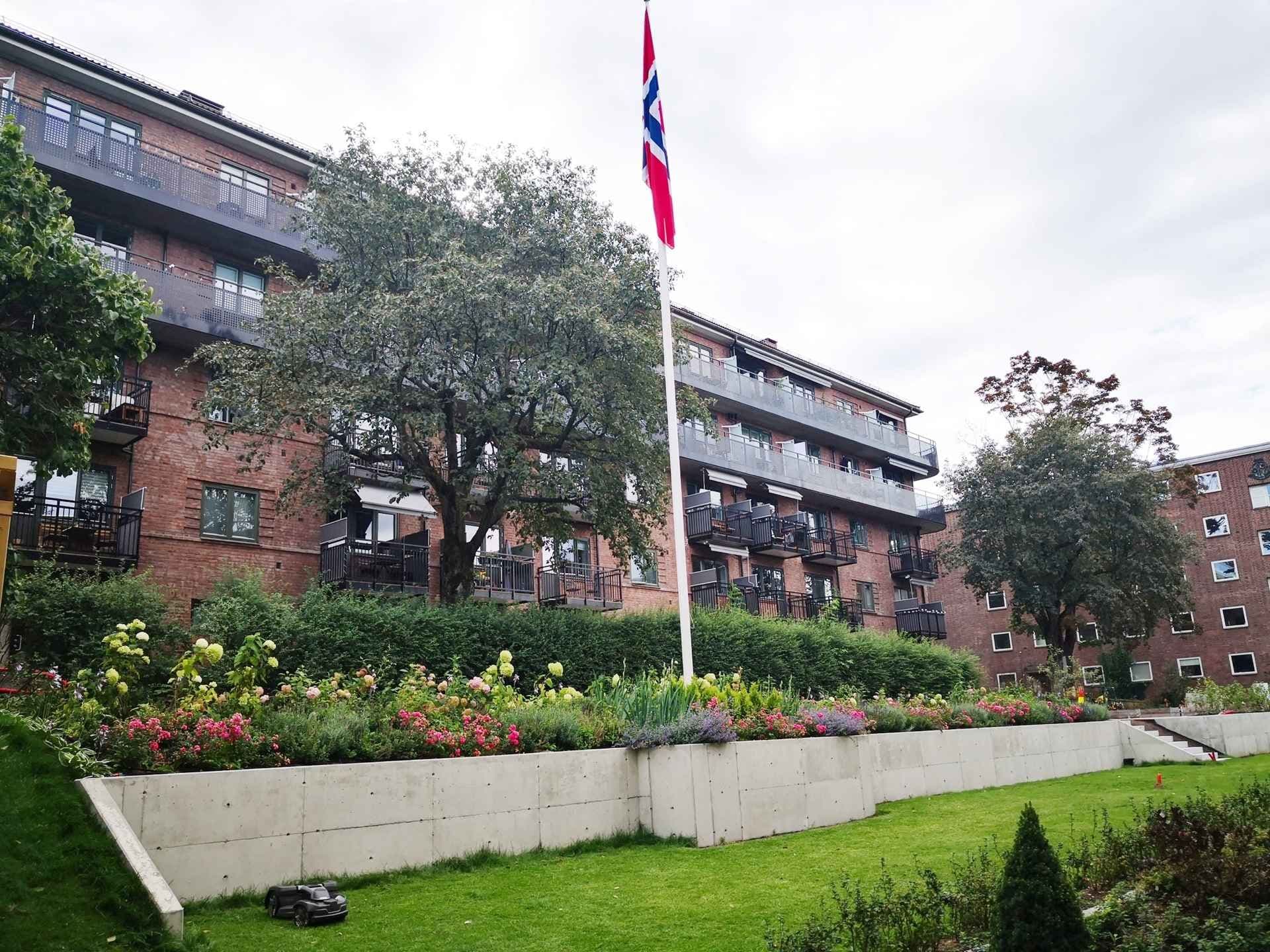 Grøntanlegg utenfor boligblokk. Foto. 