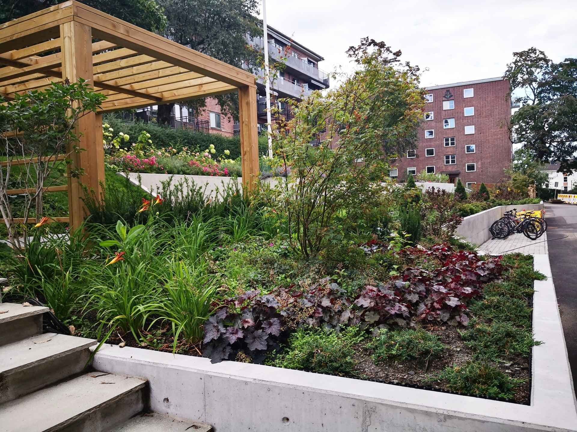 Frodig blomsterbed på Carl Berners Plass. Foto. 