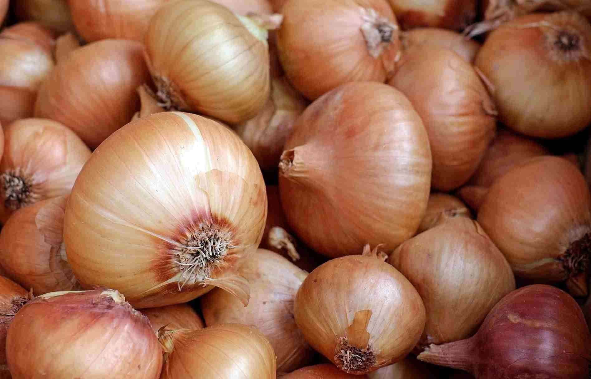 Mange gule lok. Foto.  