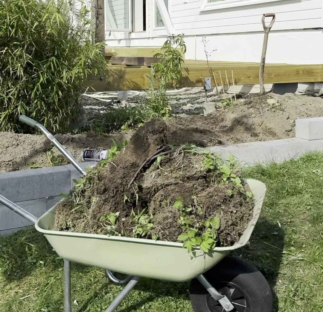 Fjerning av gammel jord og planter i hage. Foto. 