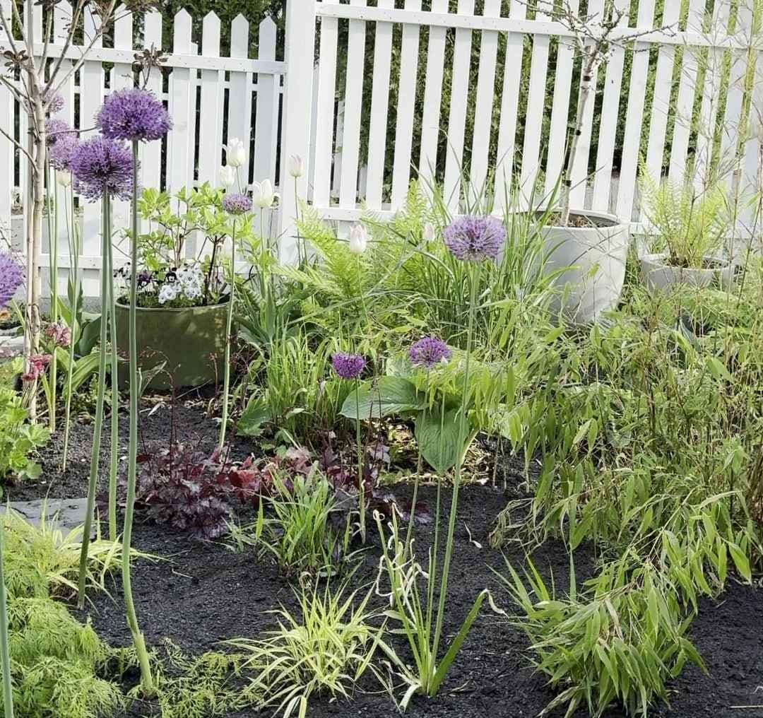 Nyplantet bed. Foto. 