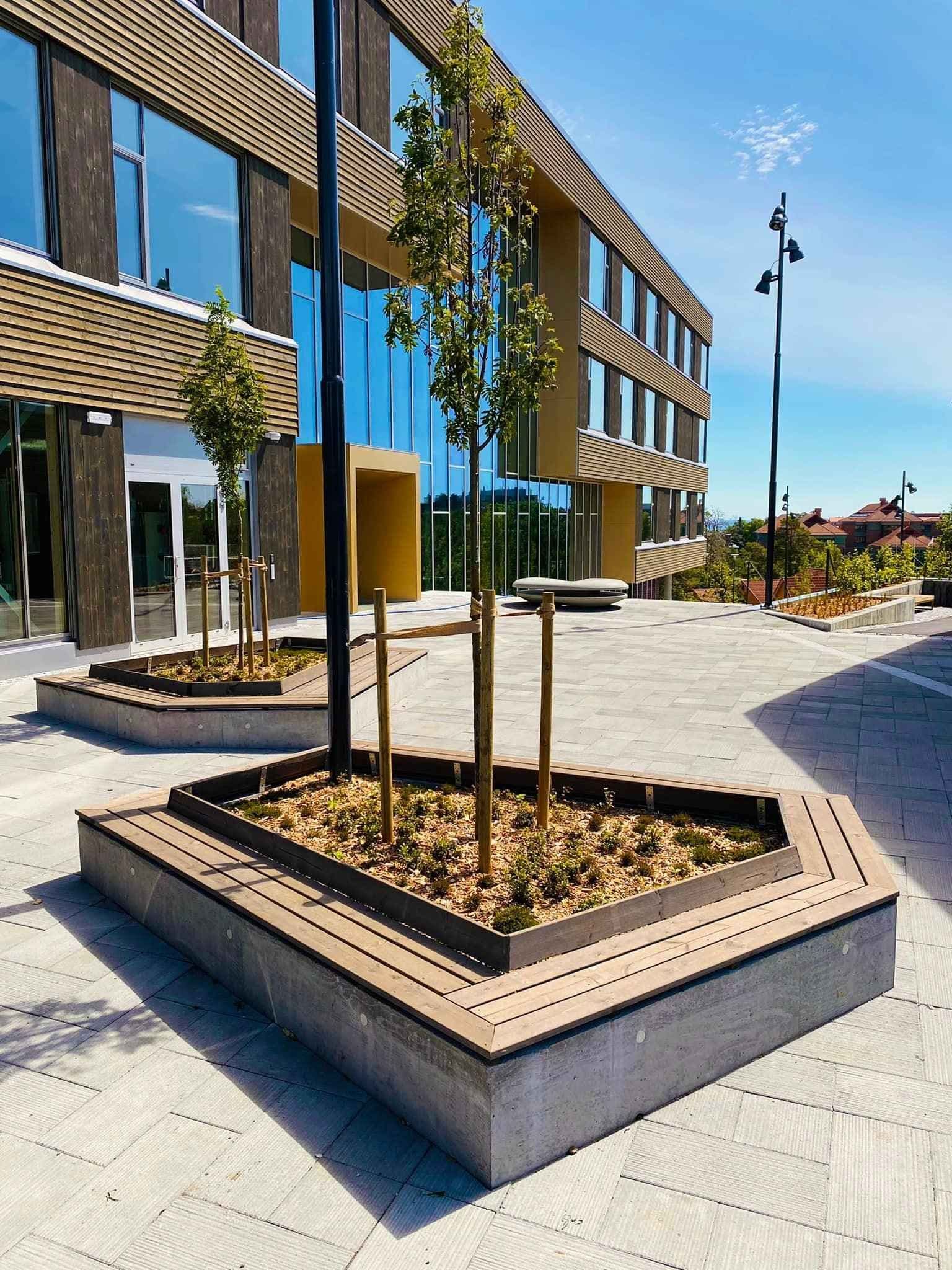 Uteområde på Fagskolen i Grimstad med trær og beplantning. Foto. 