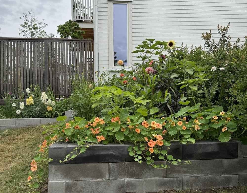 Terrassebed med blomster. Foto. 