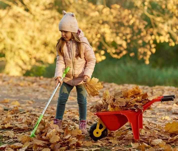 Jente som raker høstløv med trillebår ved siden av. Foto.