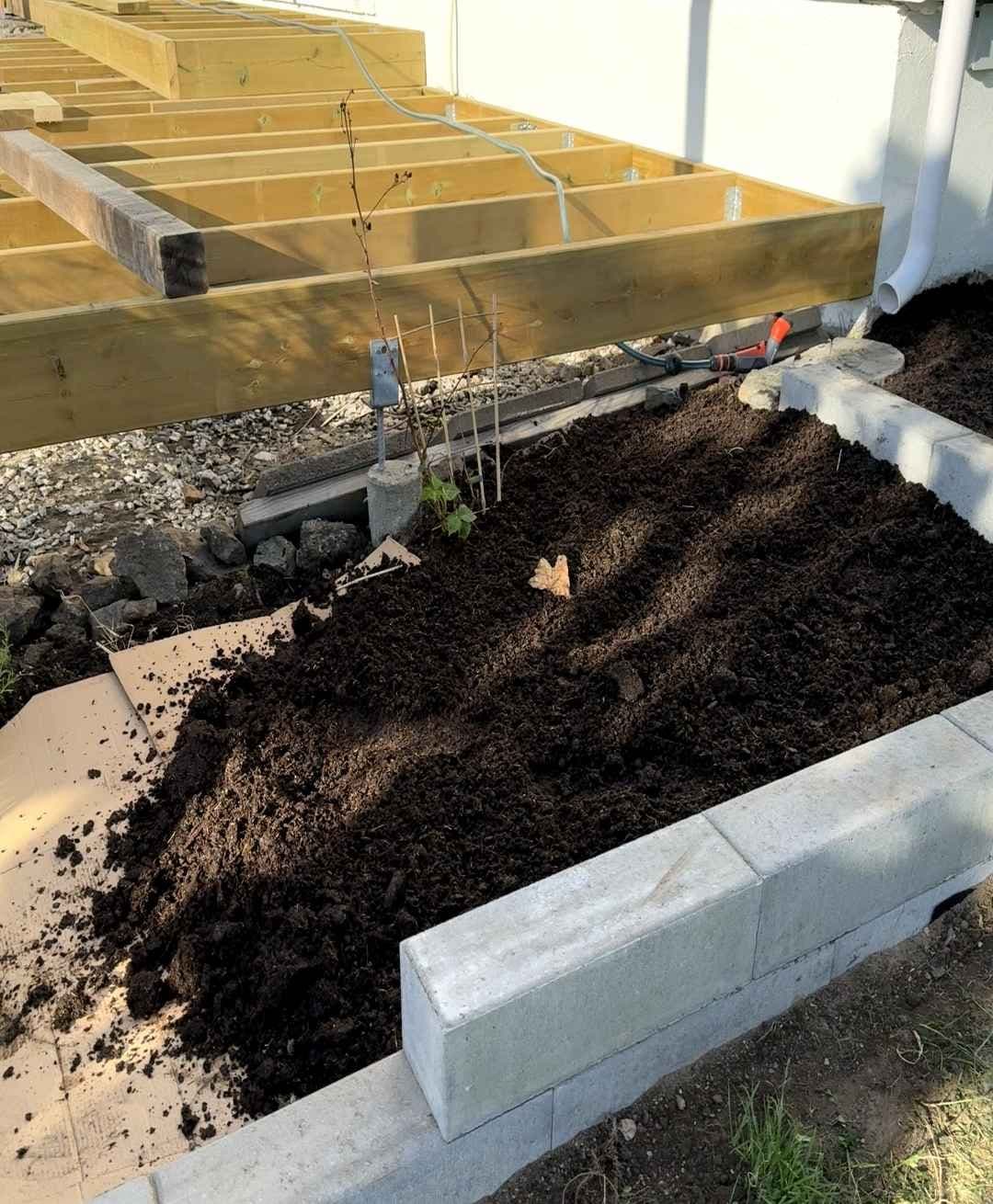 Jord legges ut i nytt bed. Foto. 