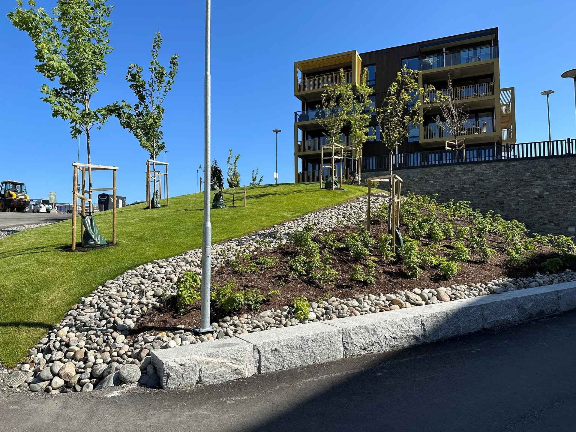 Opparbeidet plen og bed utenfor boligblokk. Foto. 