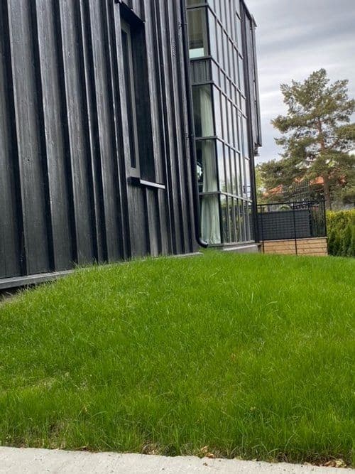 Grønn plen på baksiden av et hus. Foto. 