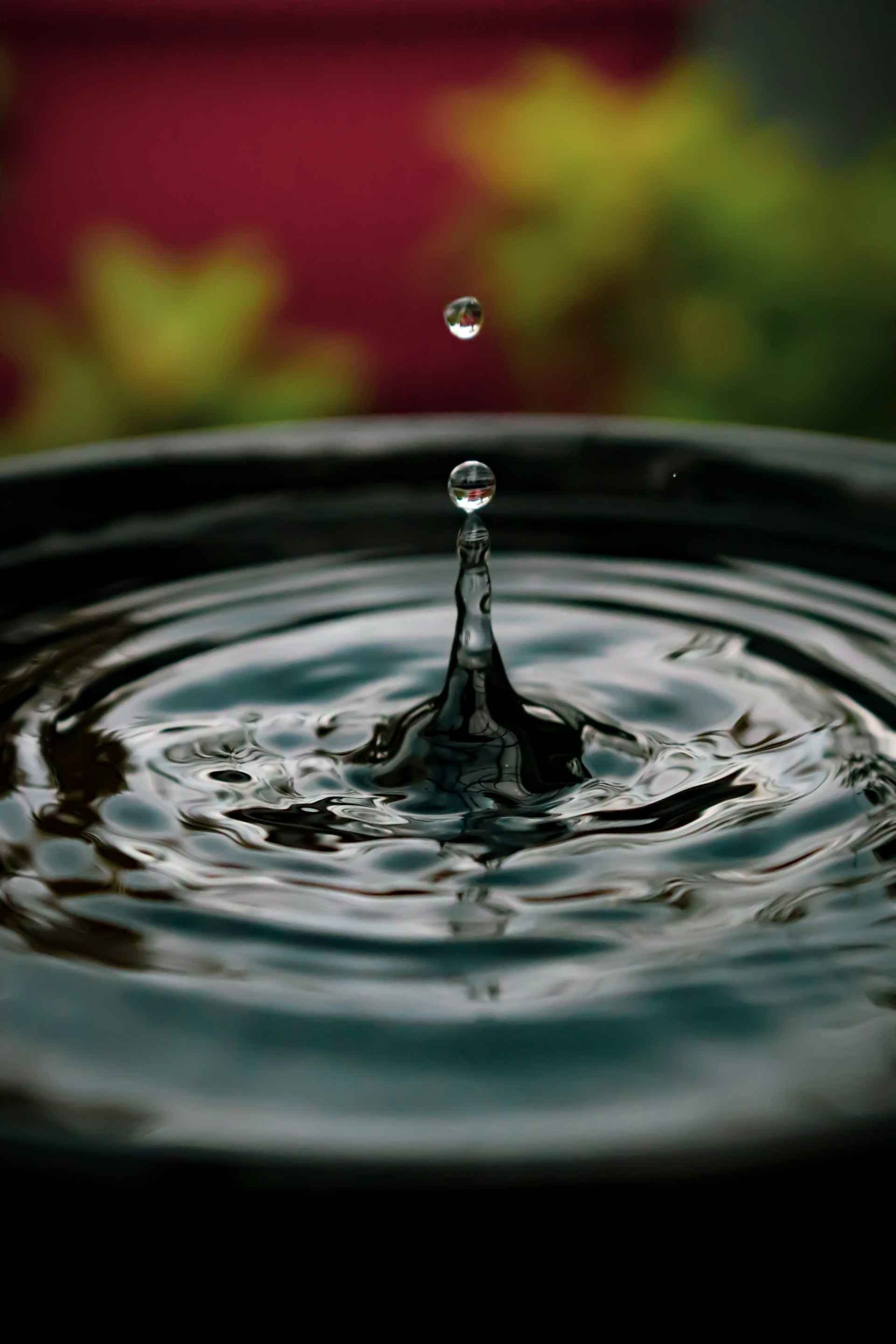 Vannspeil til hage. Foto.