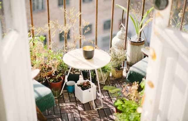Planter på en liten balkong. Foto. 