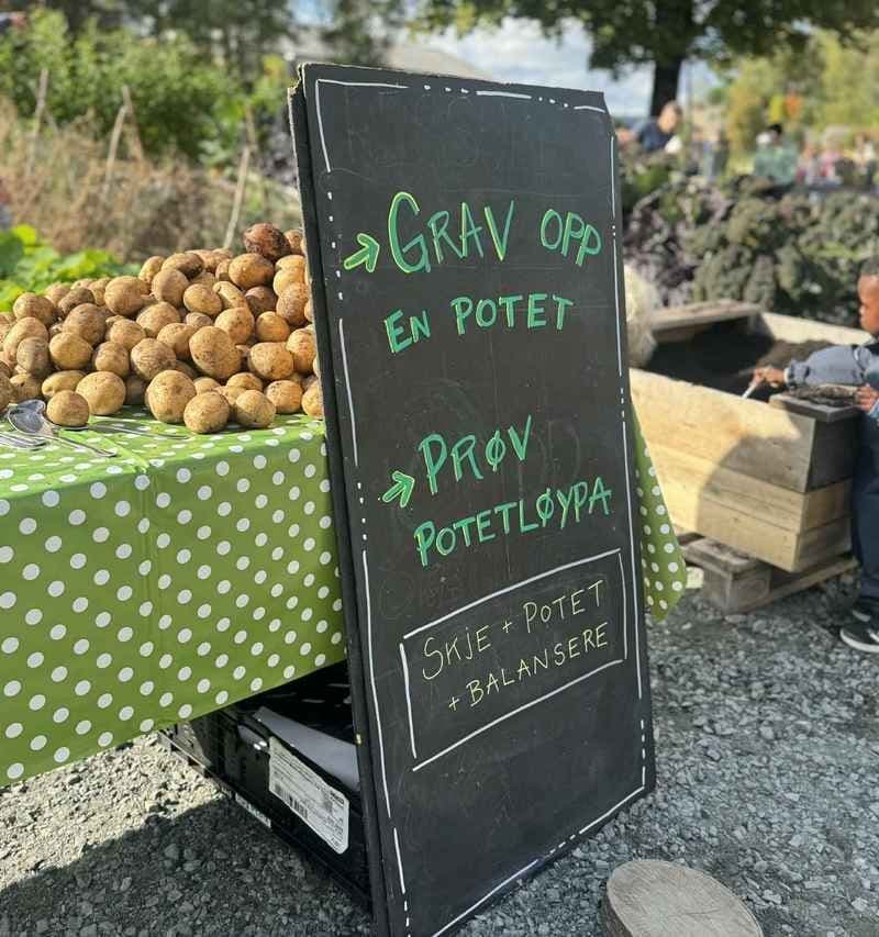 Skilt med informasjon om potetløp. Bilde