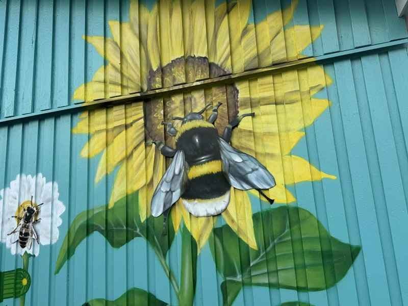 Solsikke og humle malt på en vegg utendørs. Foto. 