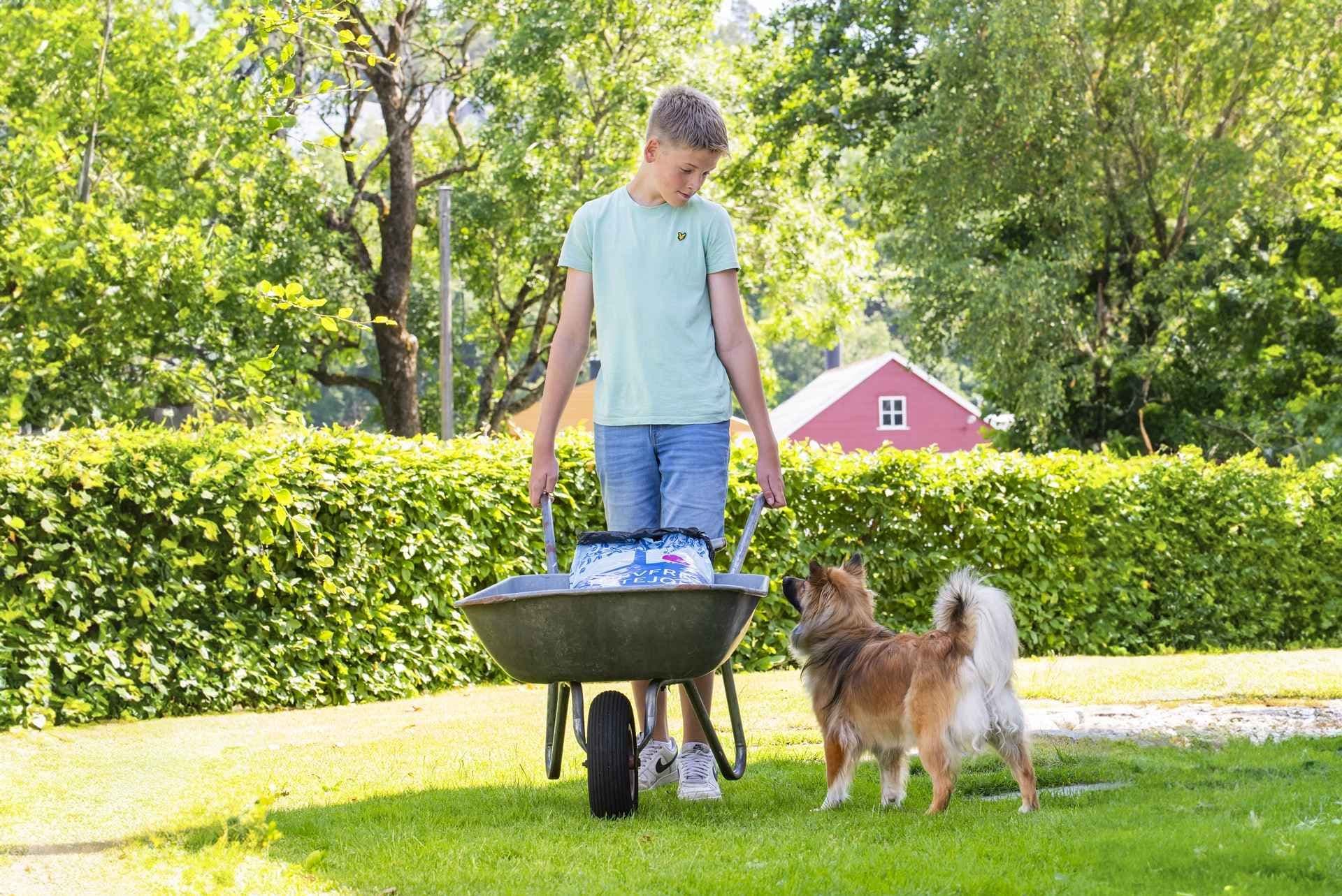 Gutt triller jord i trillebår med hund ved siden av. Foto. 