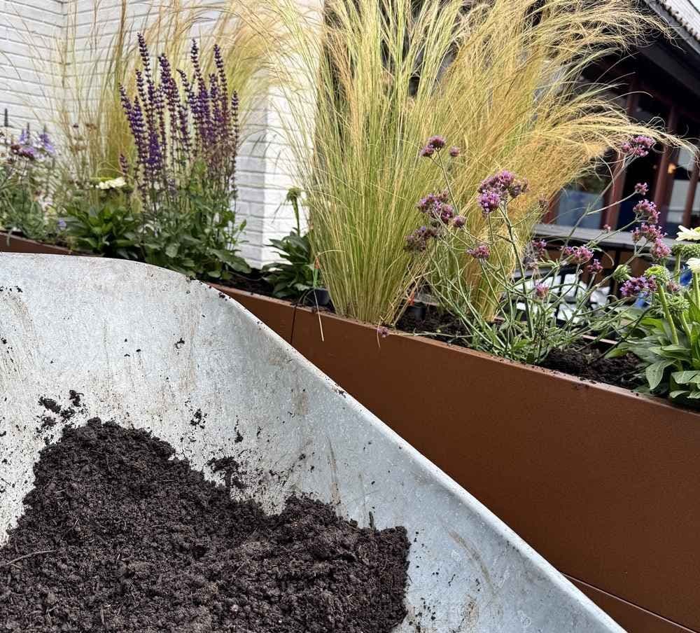 Jord i trillebår med plantekasse bak. Foto. 