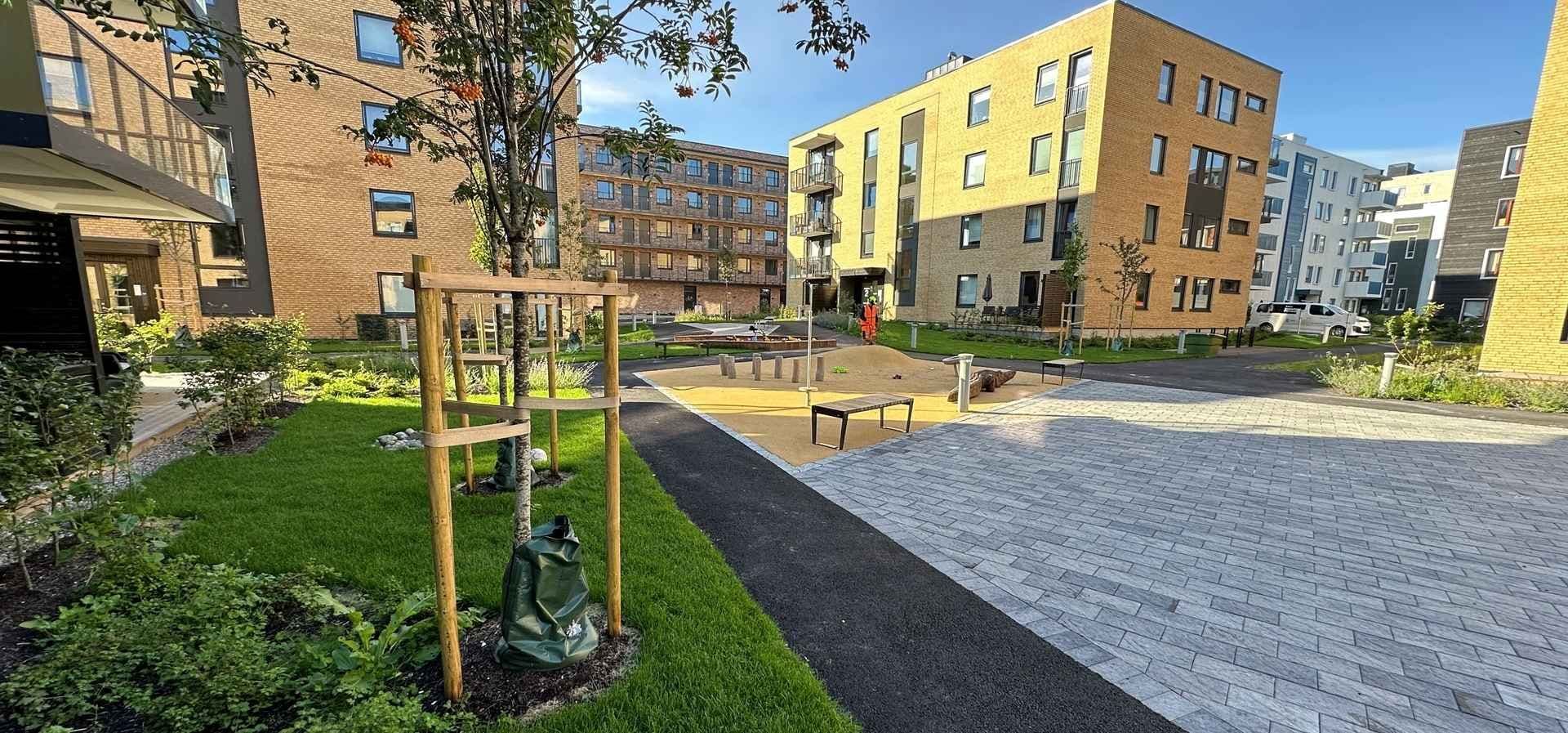 Grøntanlegg foran Bergerløkka boligsameie. Foto.